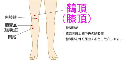 鶴頂穴位置|鶴頂:名稱釋義,功能作用,定位,解剖,主治,操作,臨床運用,配伍,附註,。